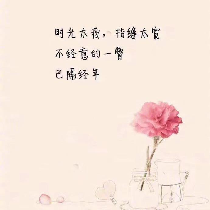 🌈｡◕‿◕｡゛哇.、哈哈°゛
