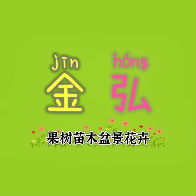 华源金弘果树盆景花卉绿植