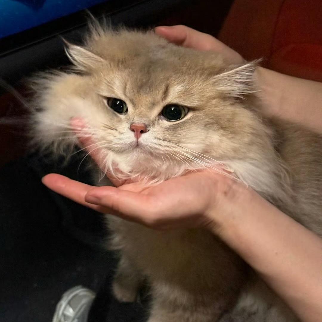 77睡个好觉