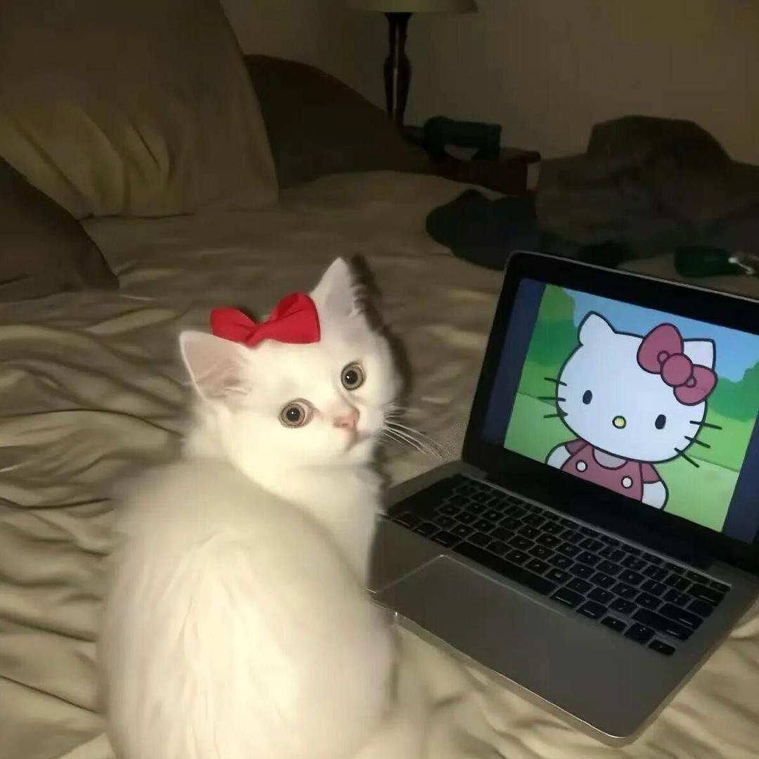 𝙆𝙤𝙞 -23☁️