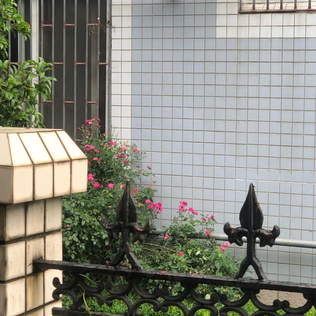 小花