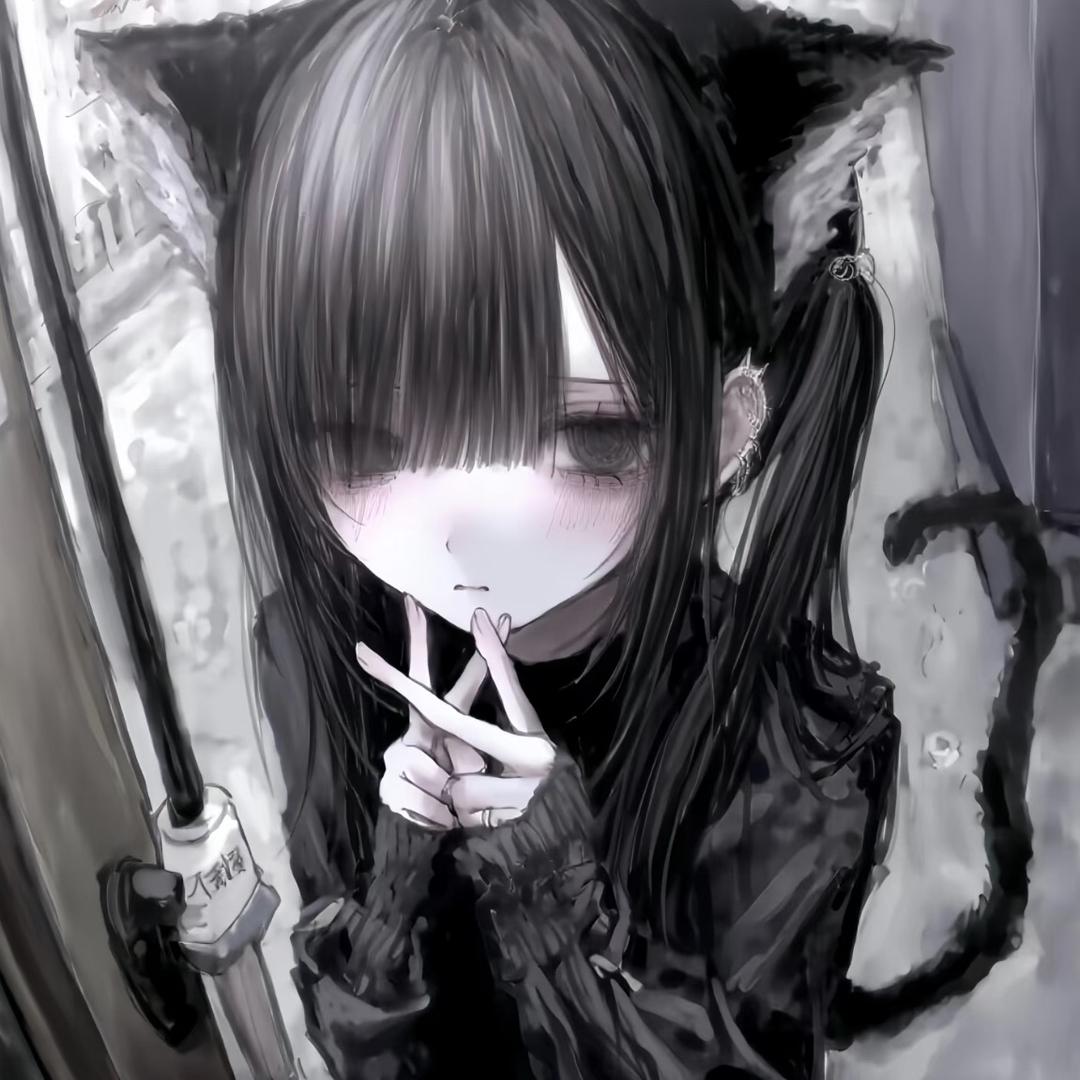 坏猫