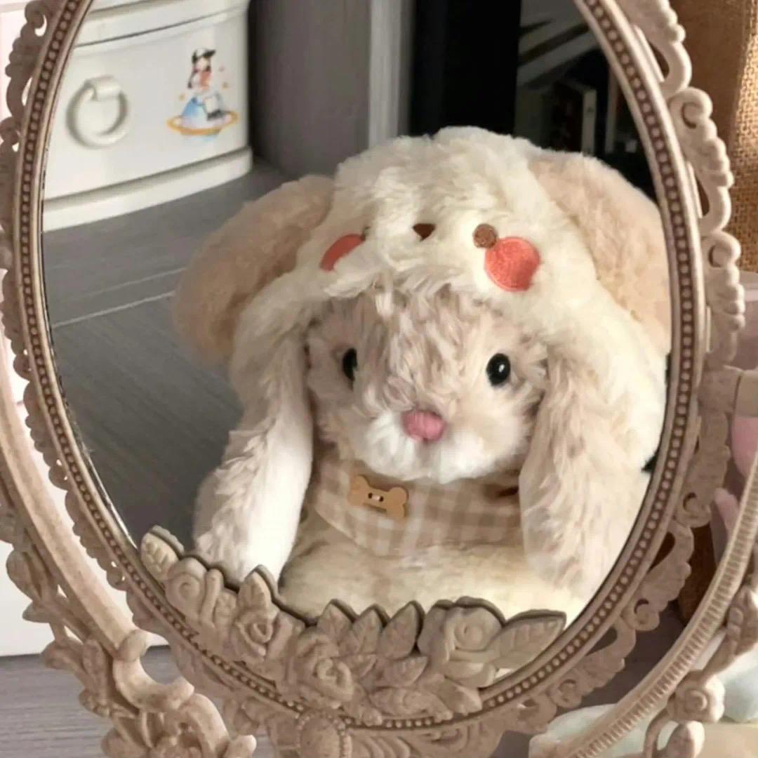 兔huhu