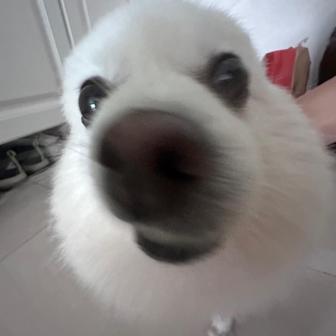 发了