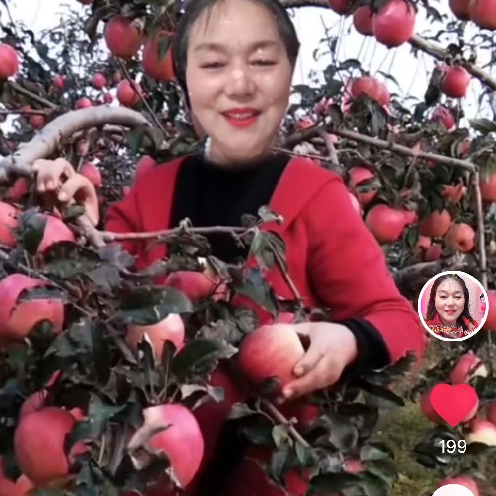 🌼☀️南娥(橱窗里有好物）