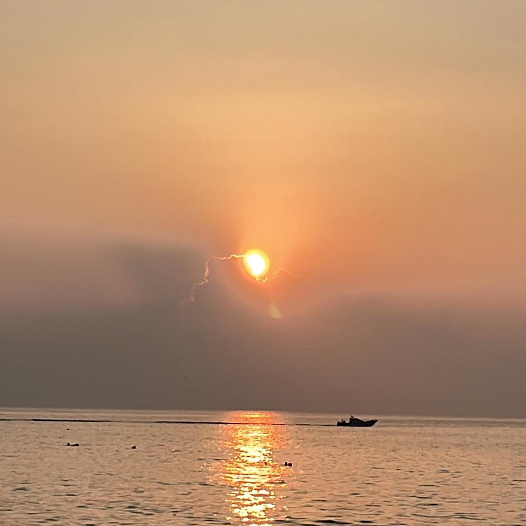 橙子✌️