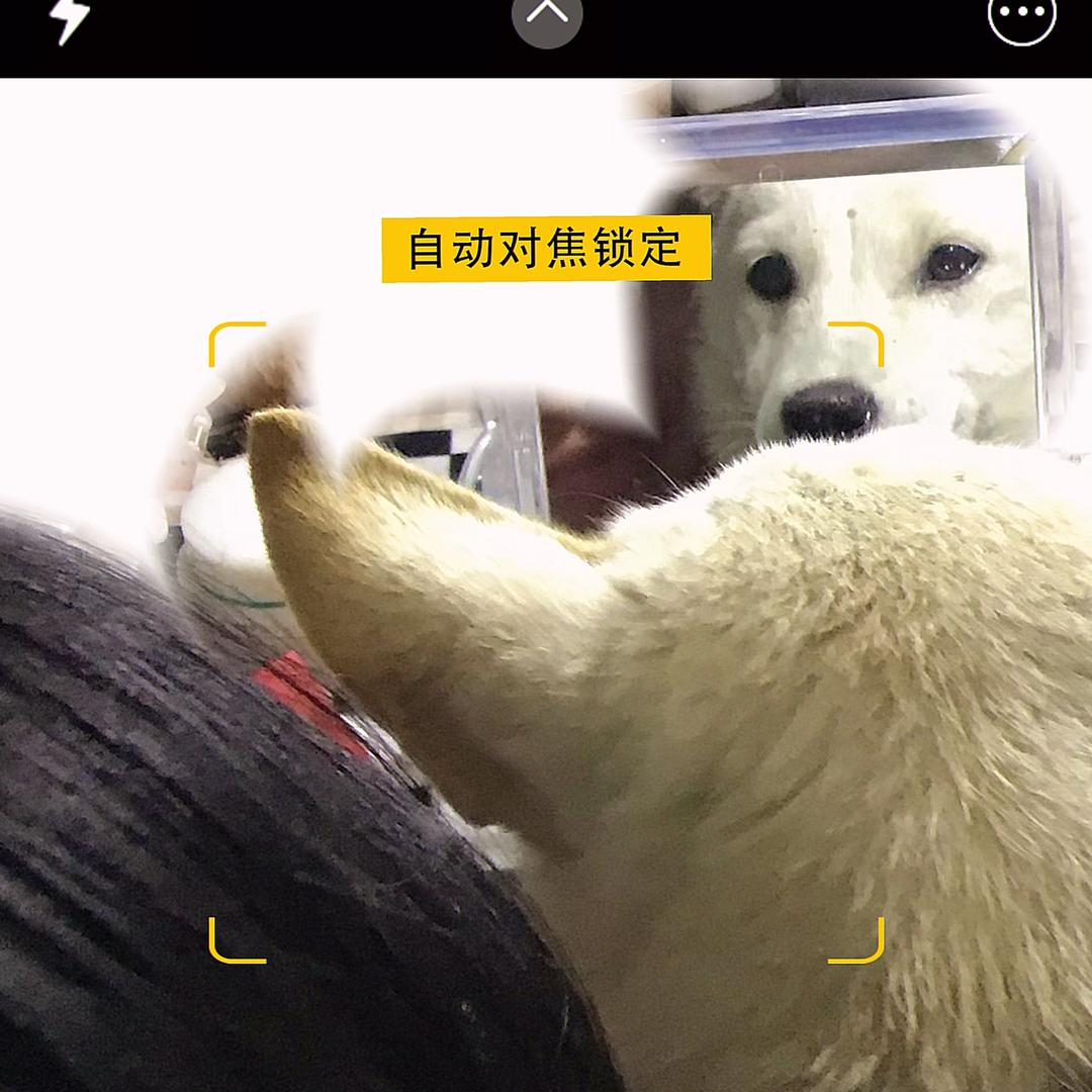 李福福