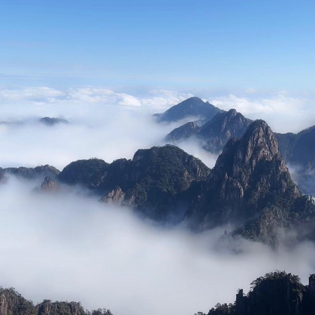 开开心心的过好现在