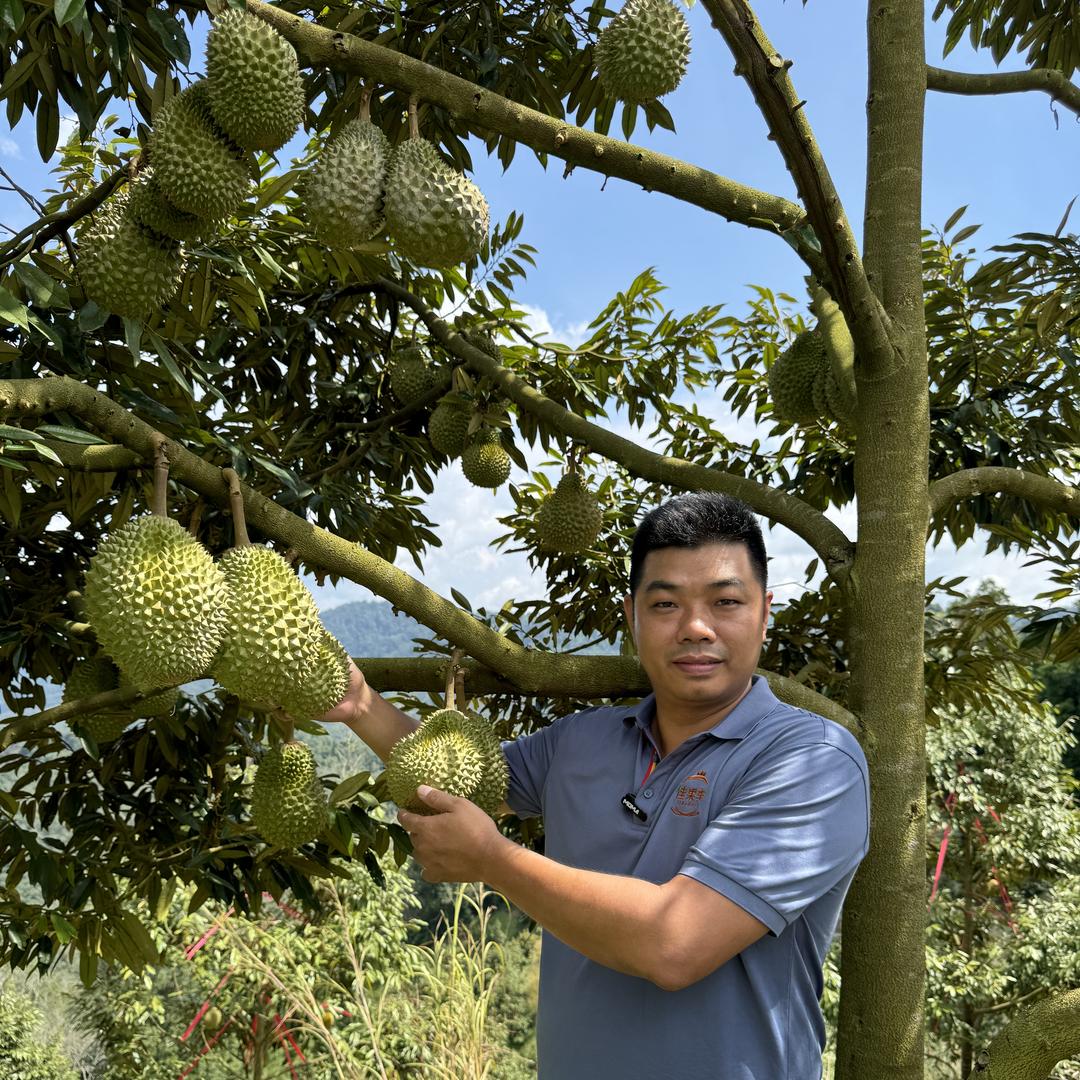 佳果季雄哥水果