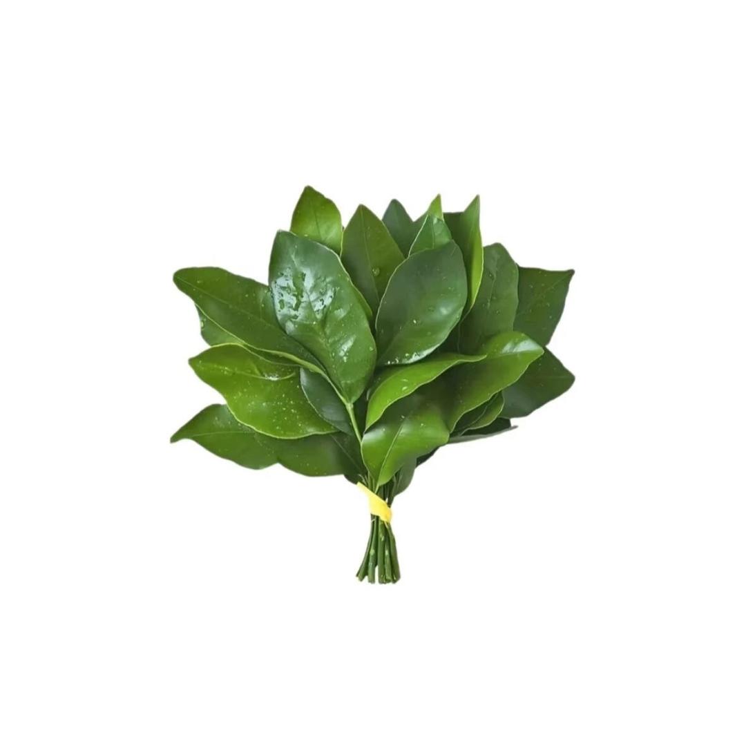 . 花开富贵