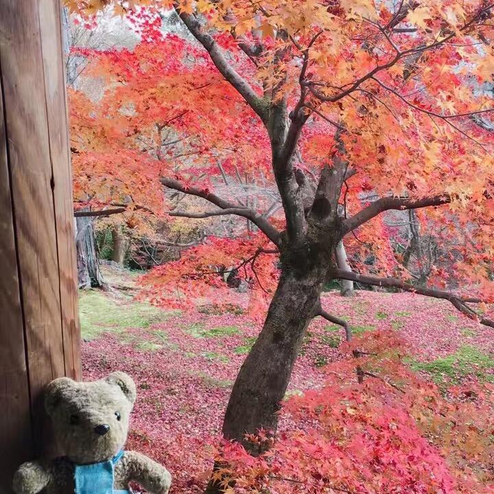高山流水