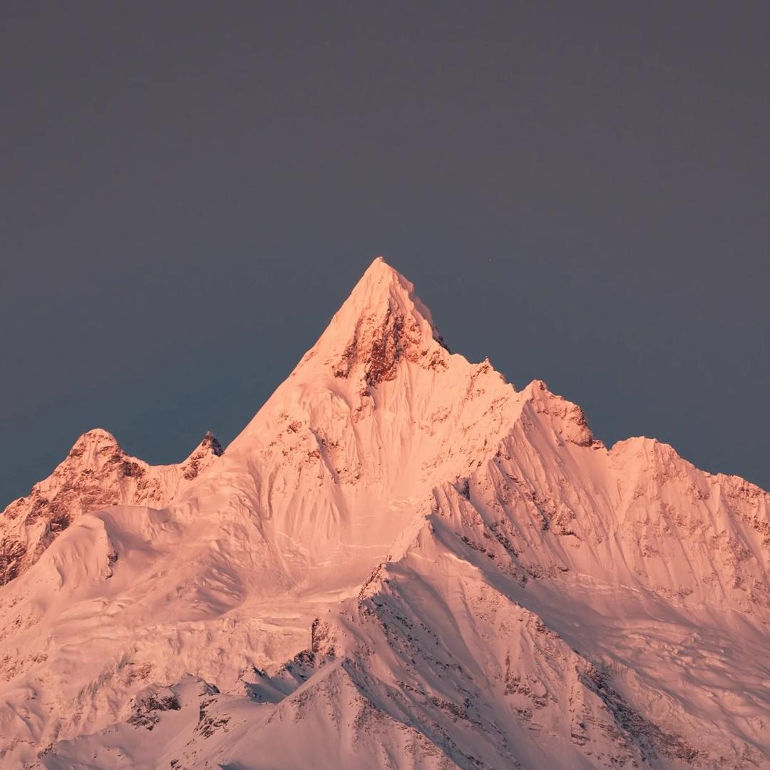 金海