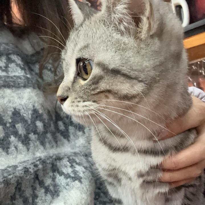 摆烂Pp