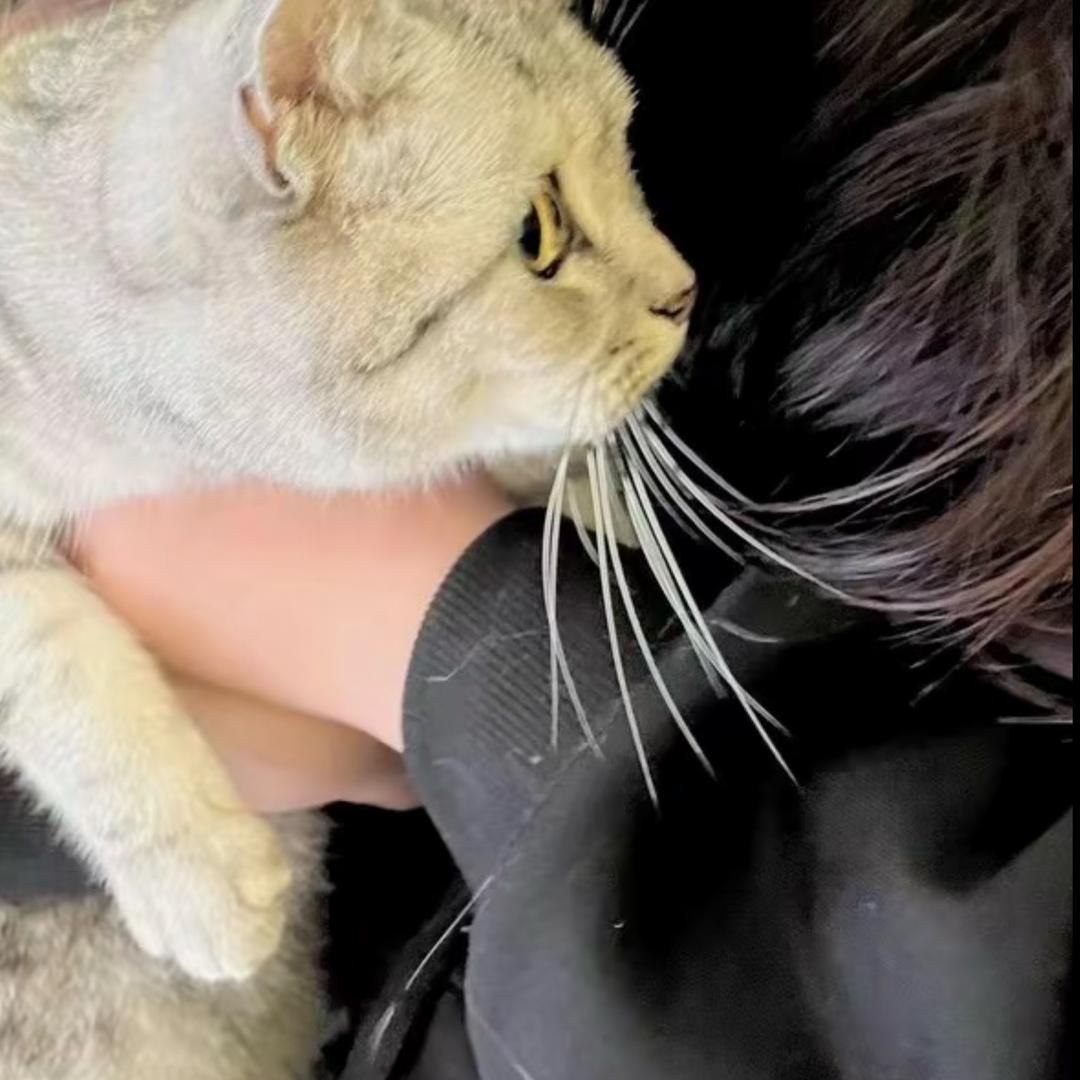 哭到眼睛流番茄醬🥫