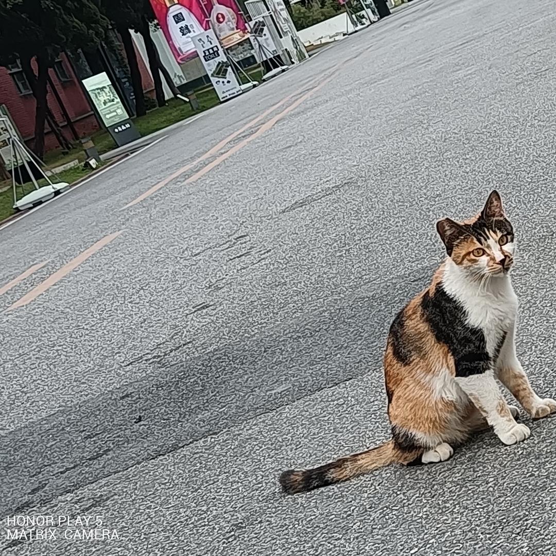 要多少温度才能泡到你