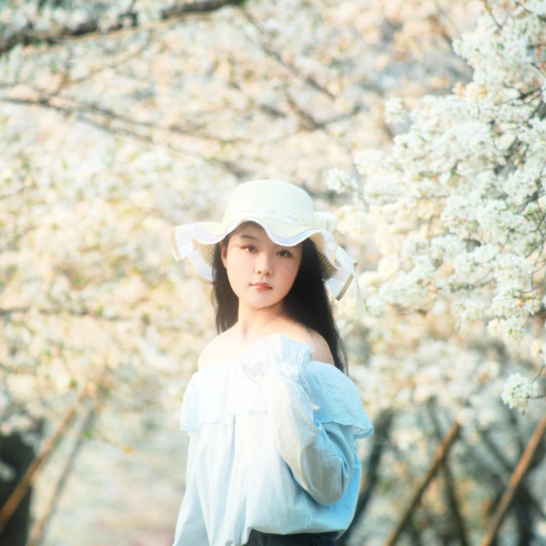 吃芒果还是香菜