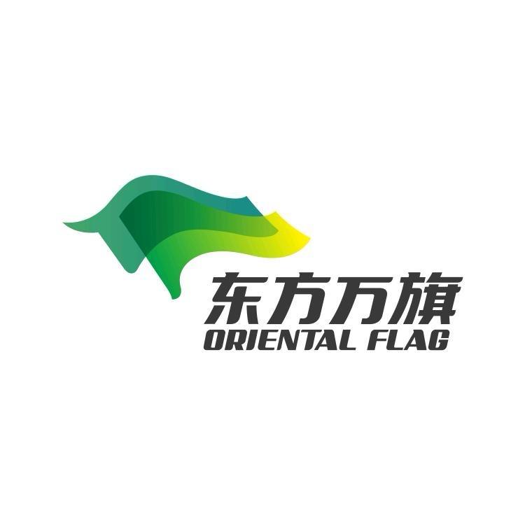 东方万旗1号