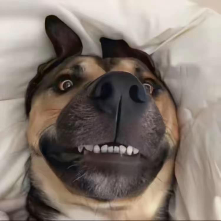 起风了 ￴ ￴ ￴￴￴￴￴￴ ￴￴