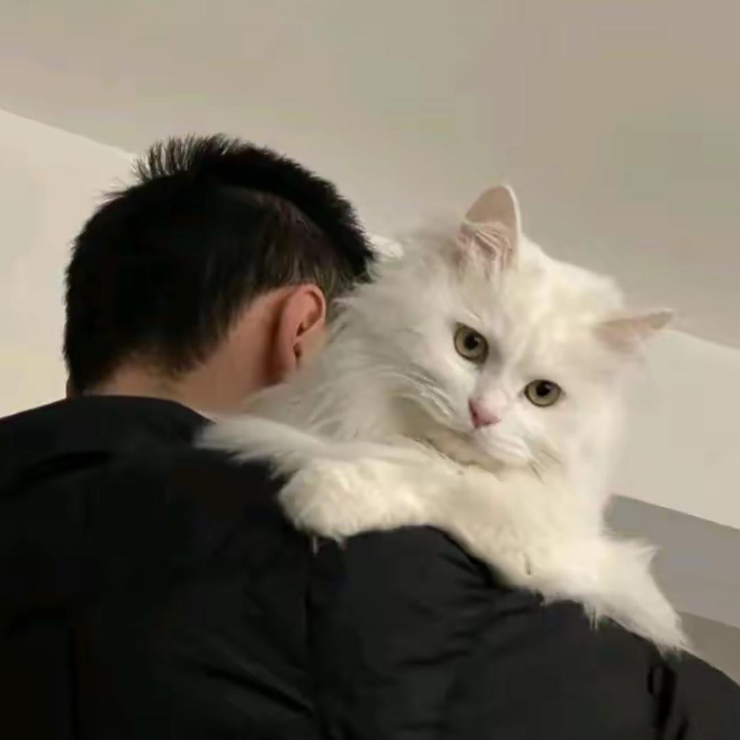 浩啊U.
