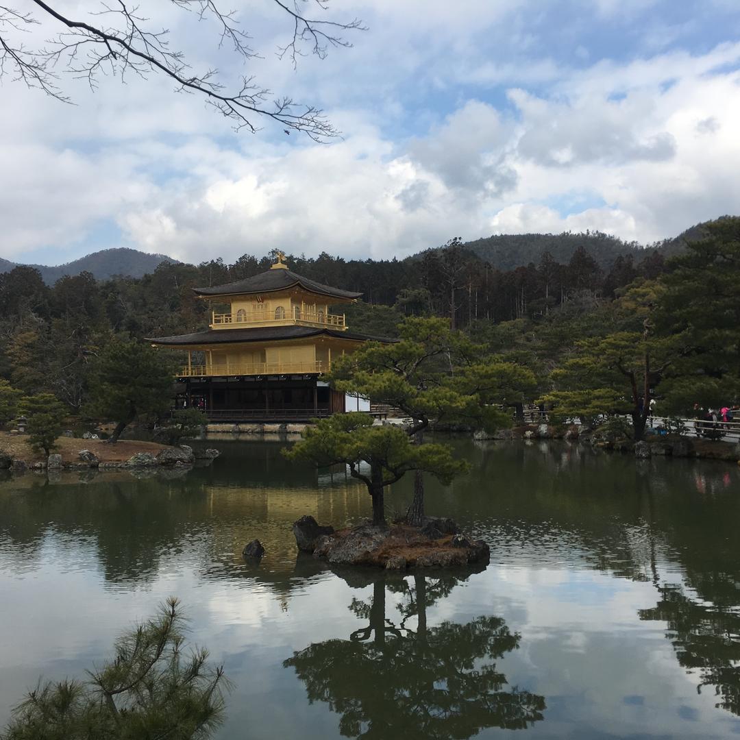 人生五十才开始