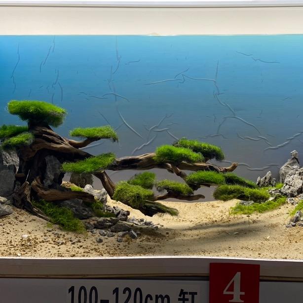 谢师兄景观设计中心