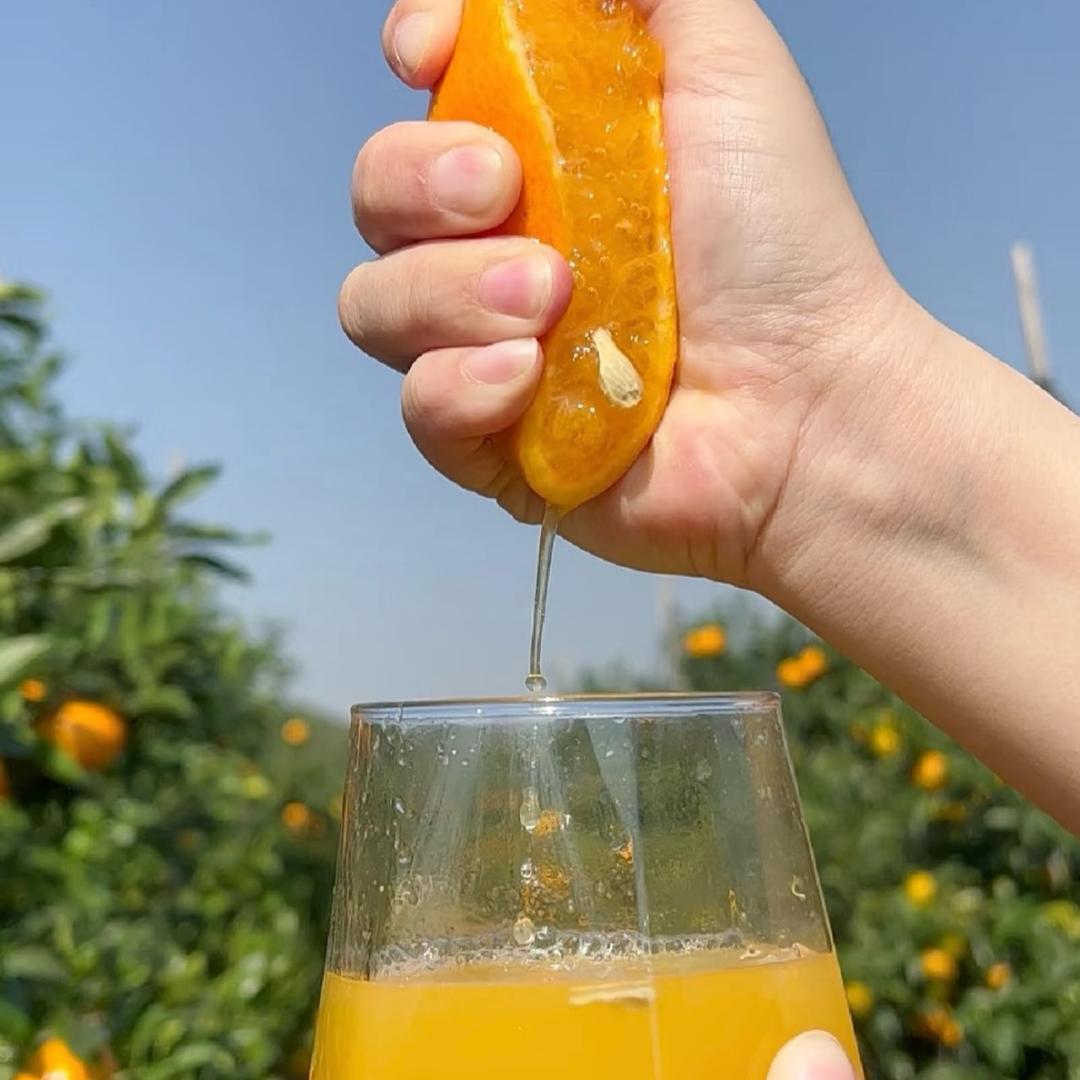 文涛生鲜水果供应链（接电商代发）