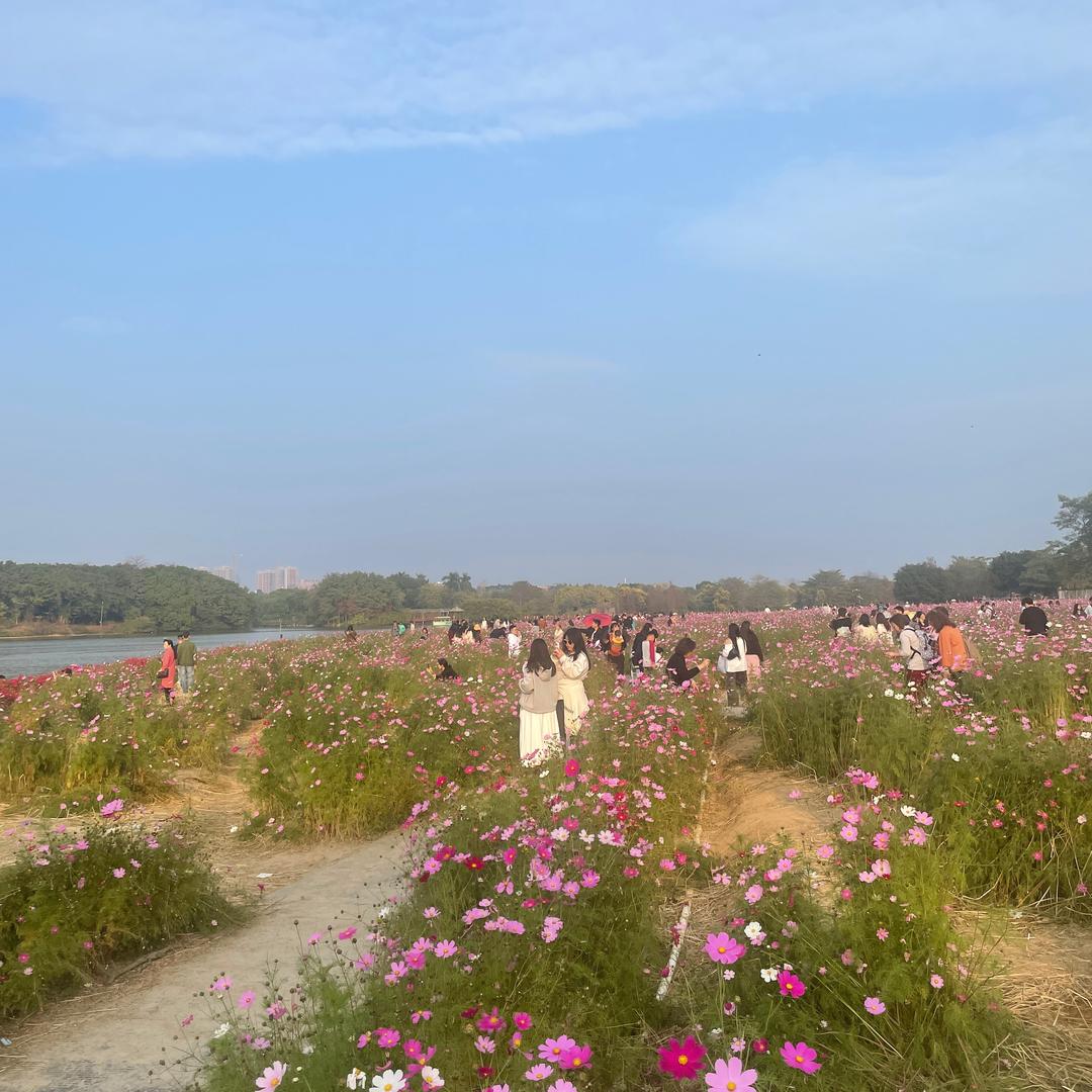 小可爱009
