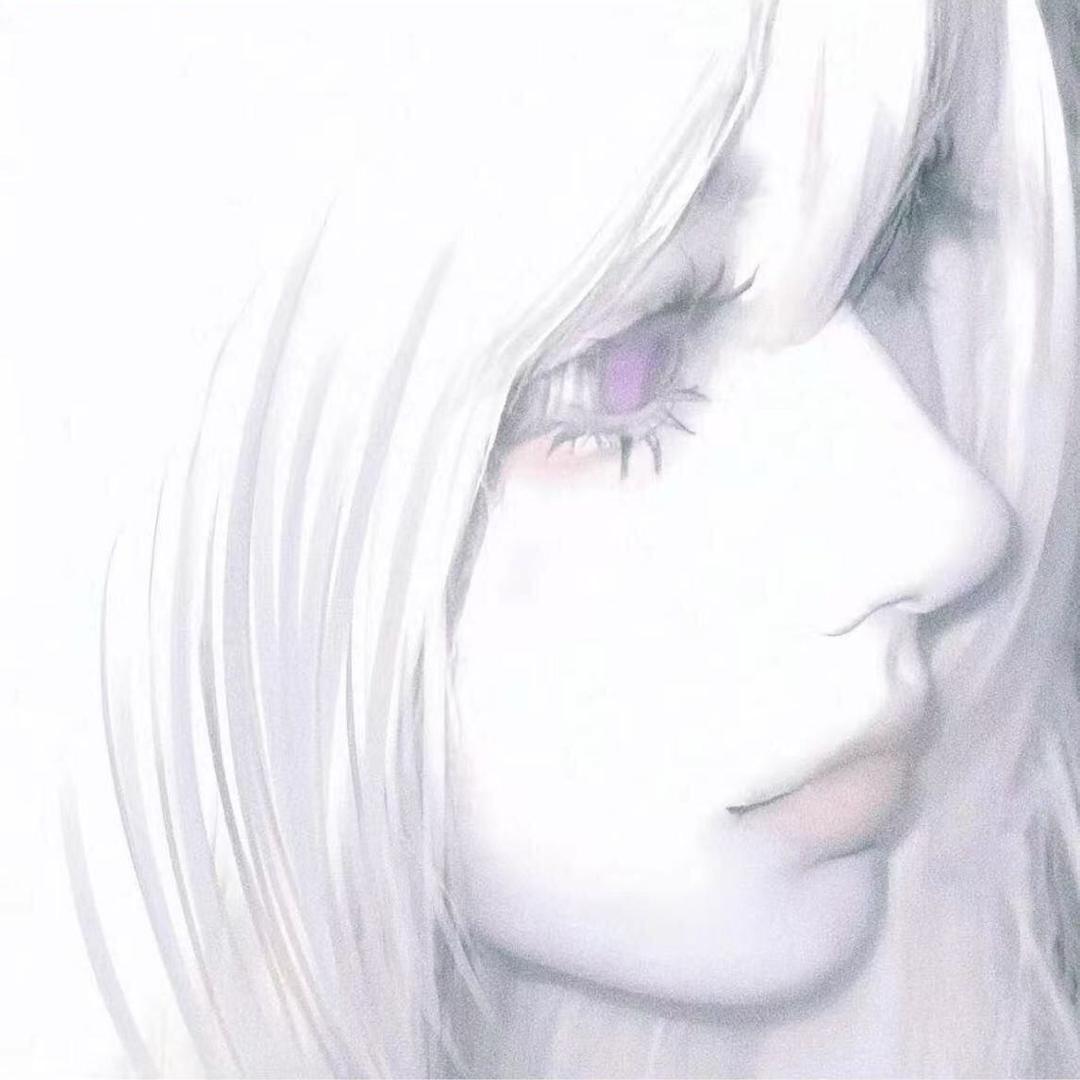 Dear藤井树
