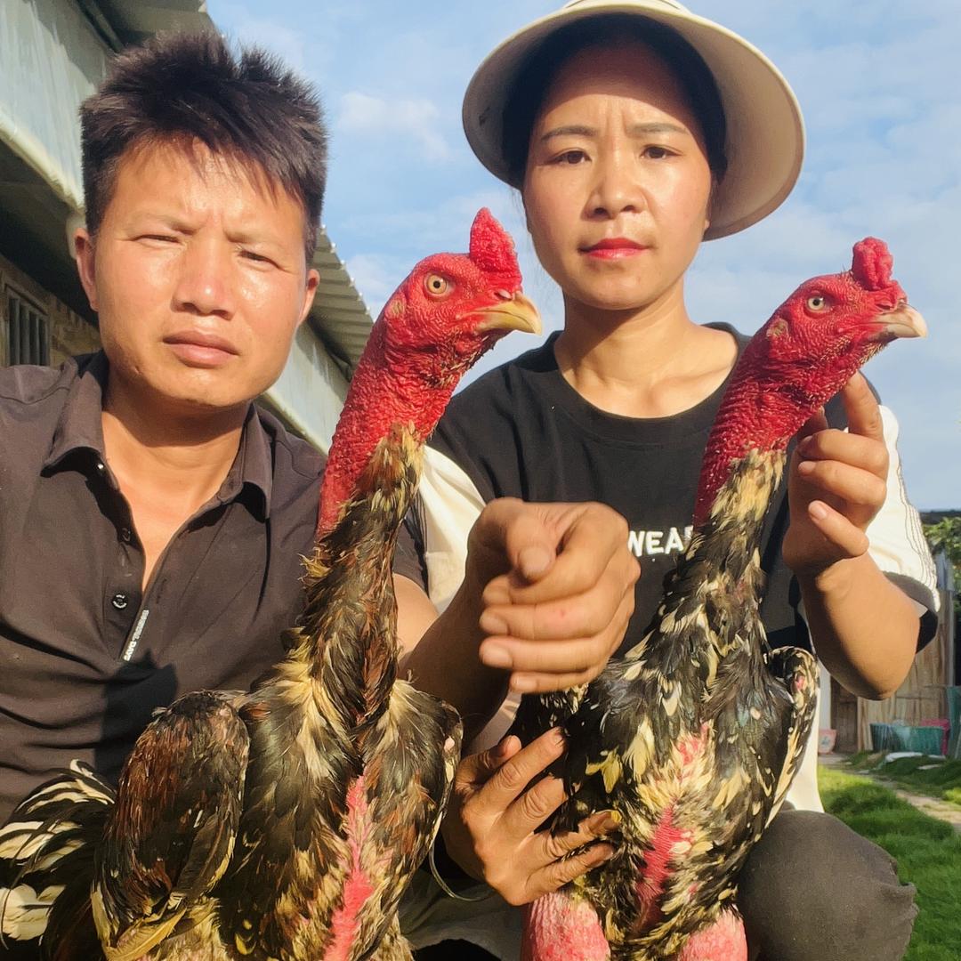 广南县珠琳镇有能养殖场