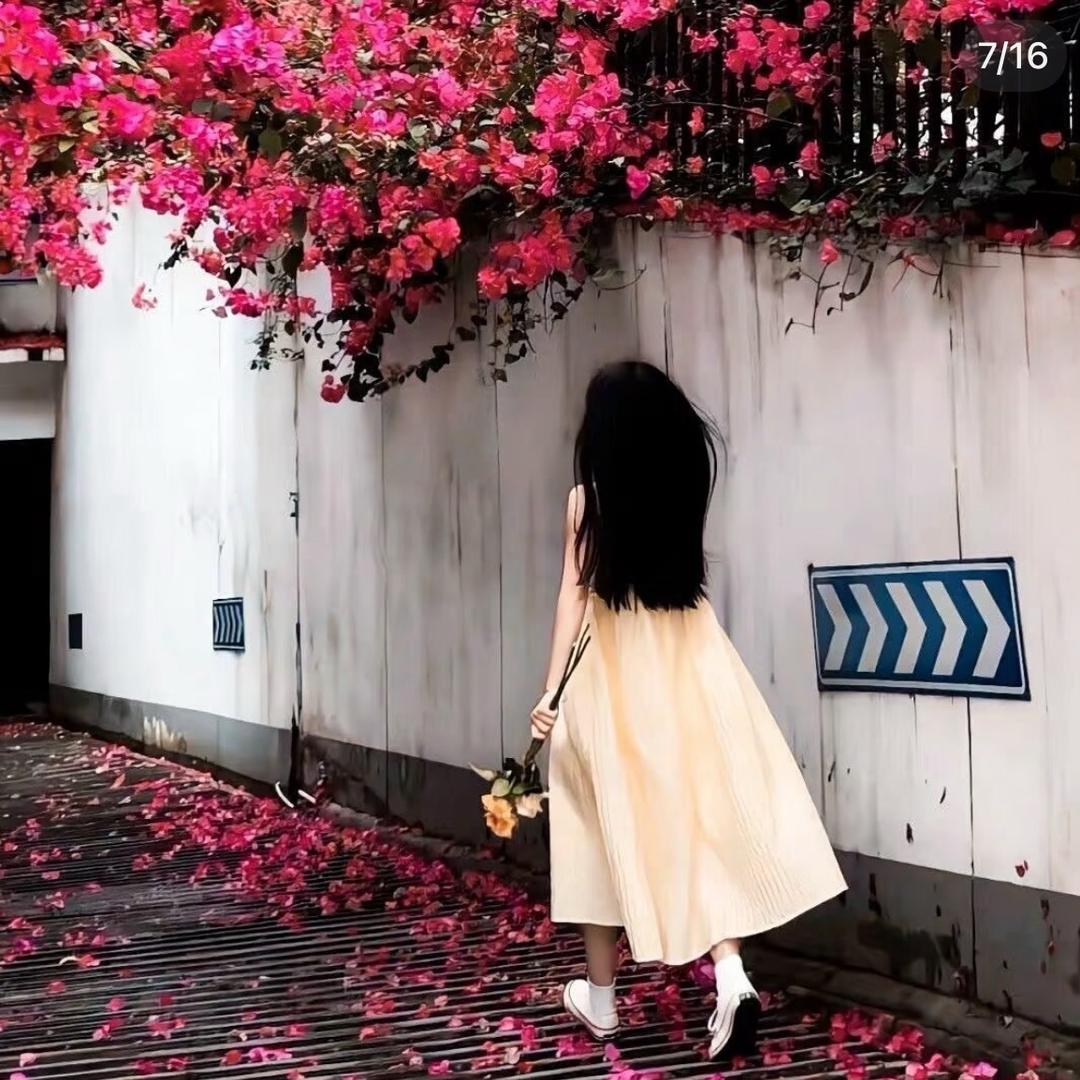 刺猬小姐🧊