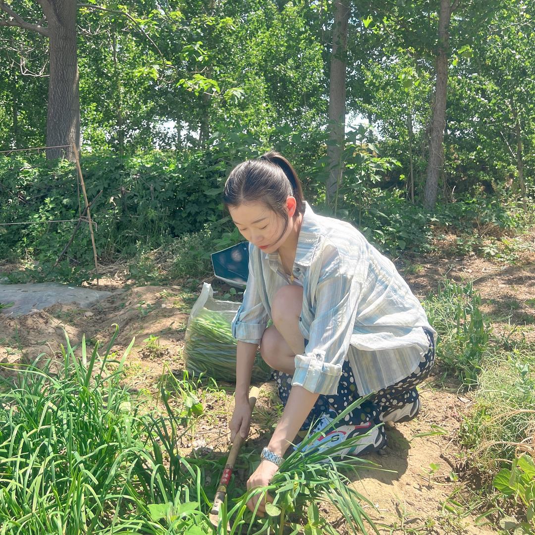 蓓蓓