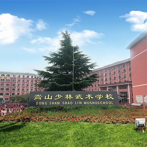 嵩山少林武术咨询