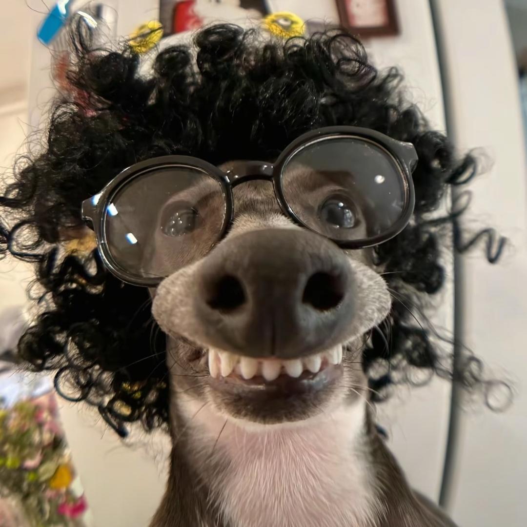 会背九九乘法表