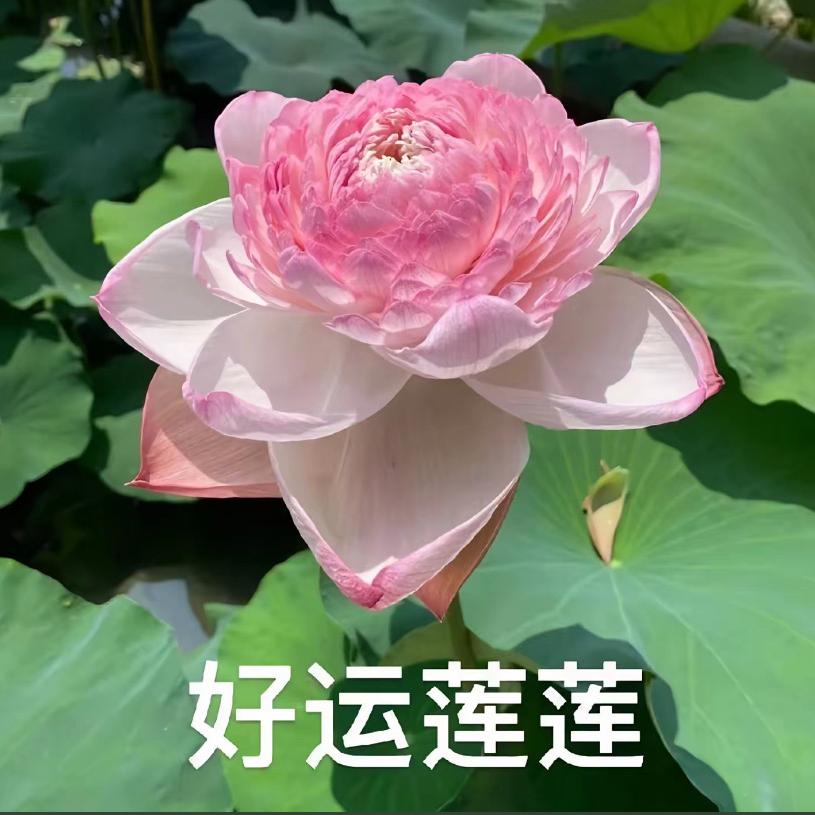 秒针记