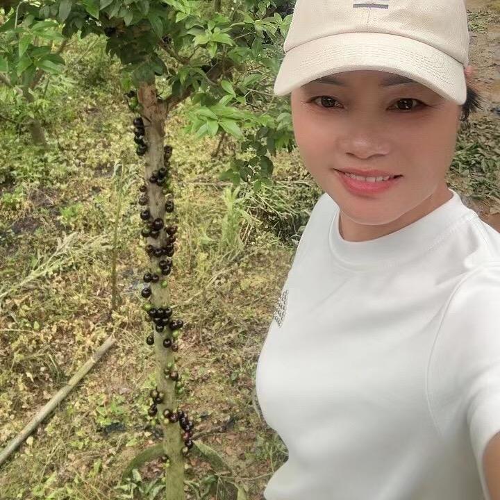 华园嘉宝果基地