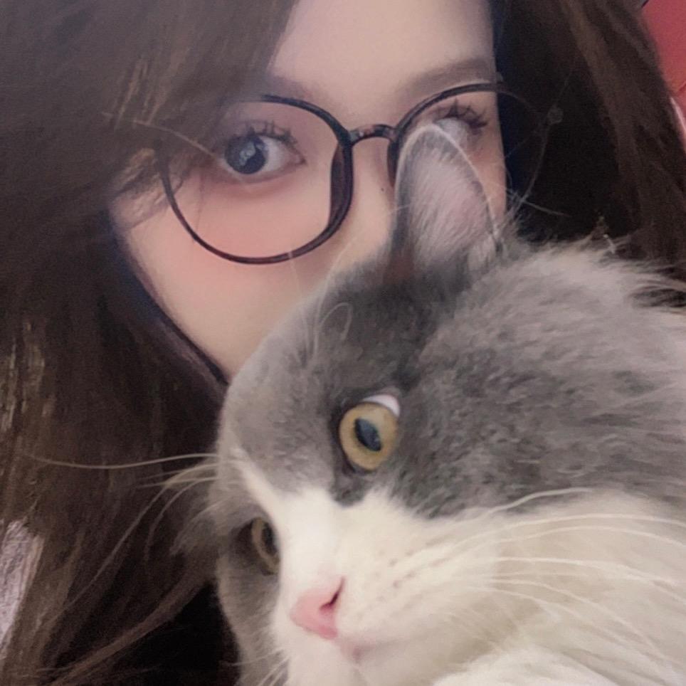 十一是只可爱小猫