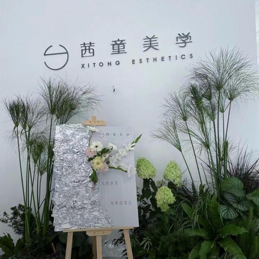 茜童美学