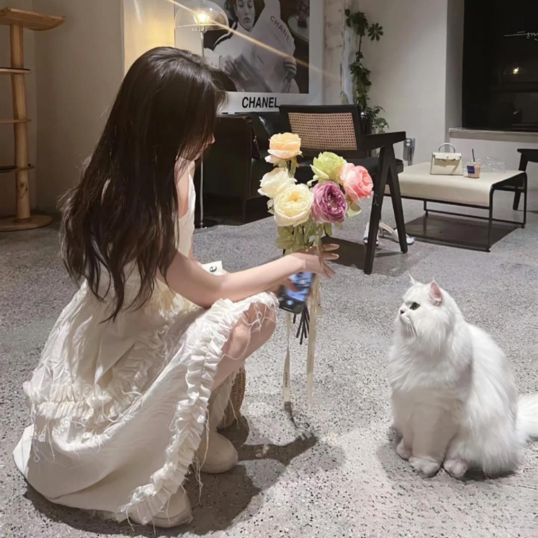 芊多多