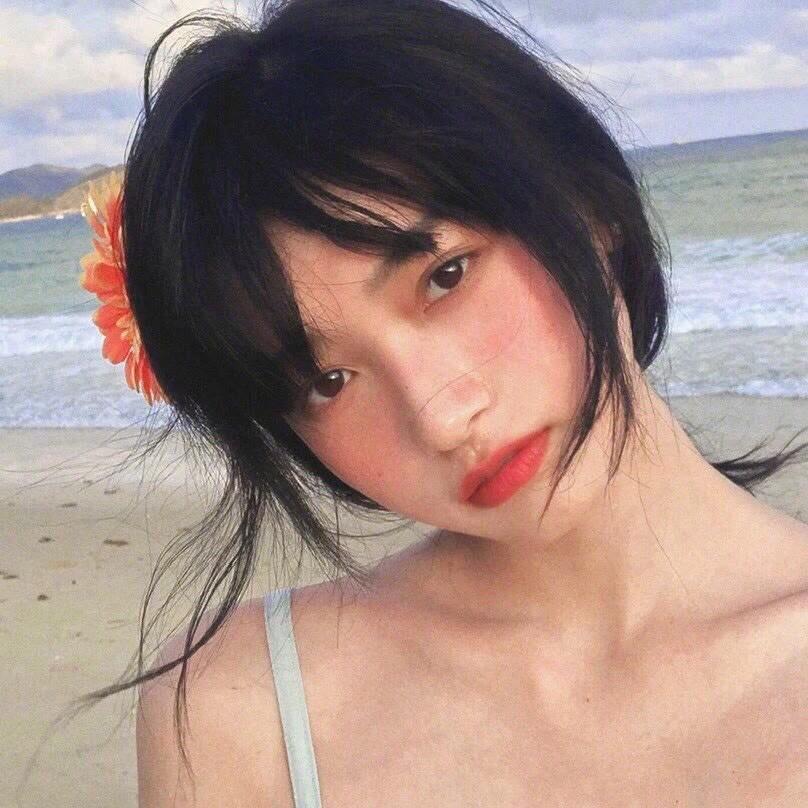 一般高