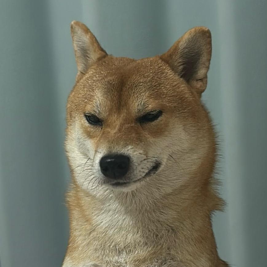 爱吃辣鸡爪