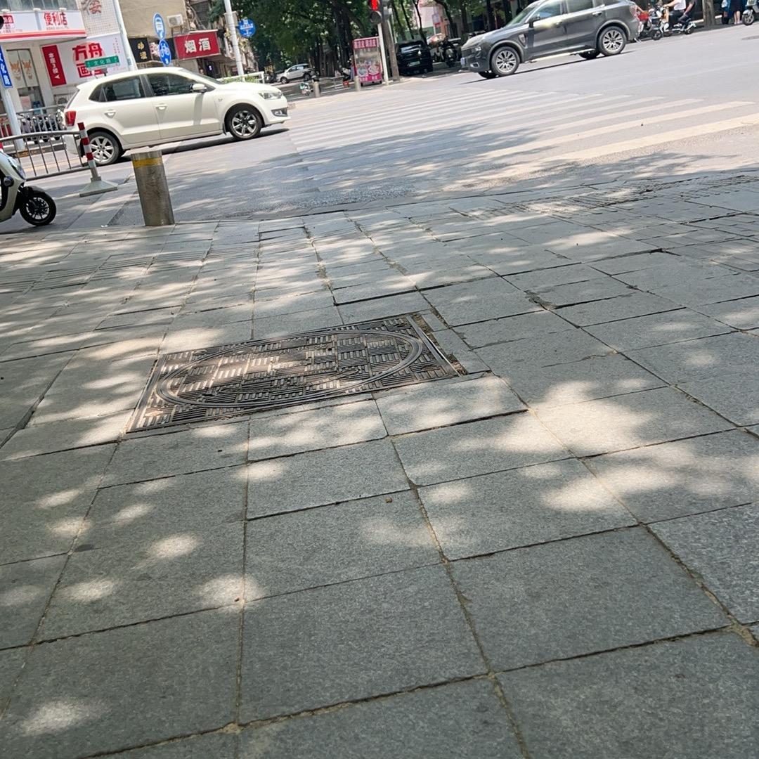 白鸽-砥砺前行！永不放弃