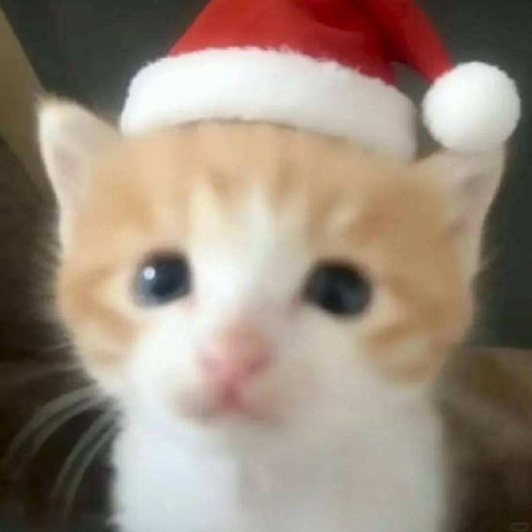 老公和小三跑了我还在打台球