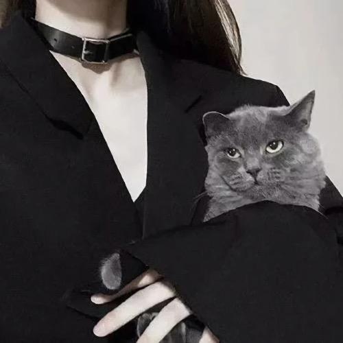 晚（三角洲行动）