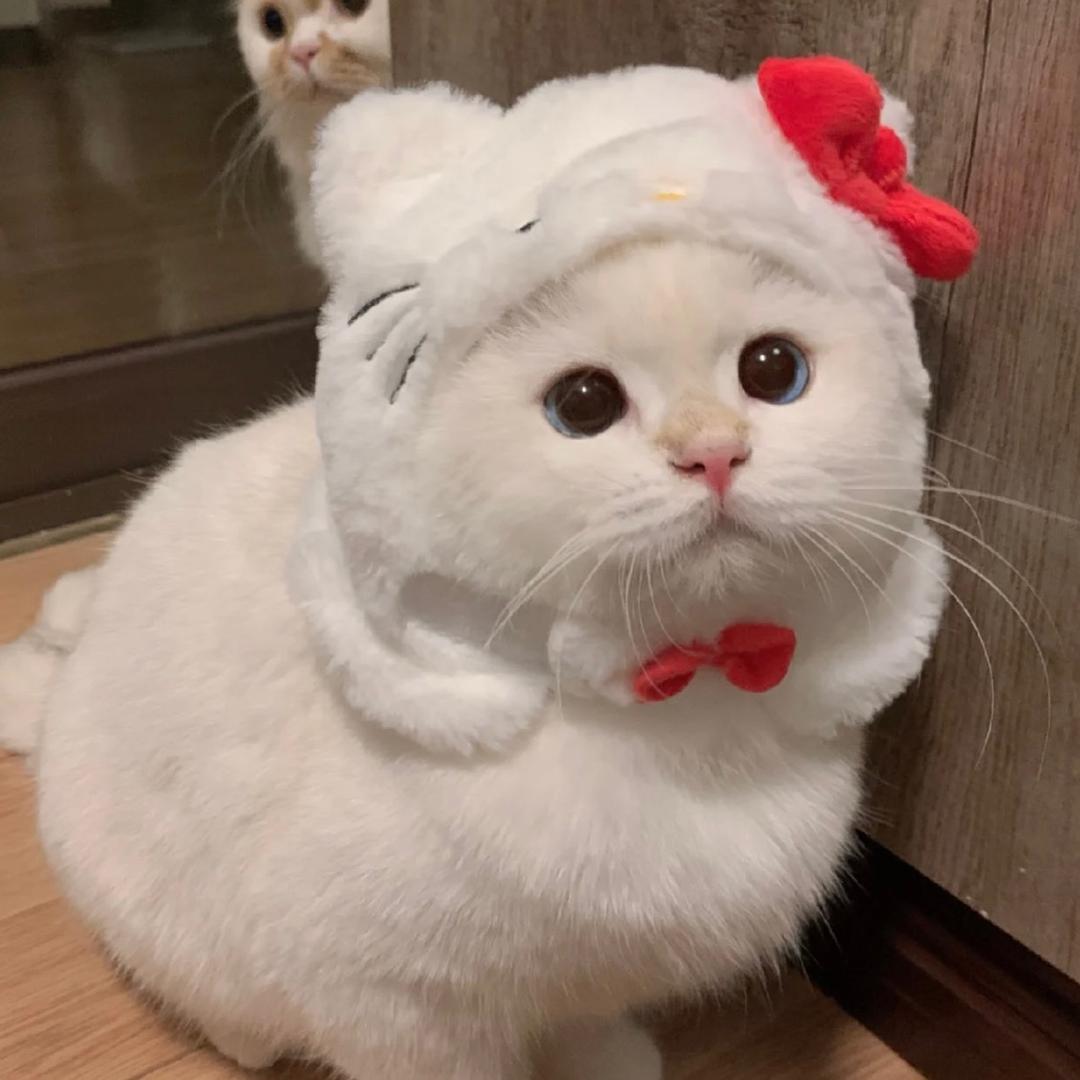 吃一口汤圆