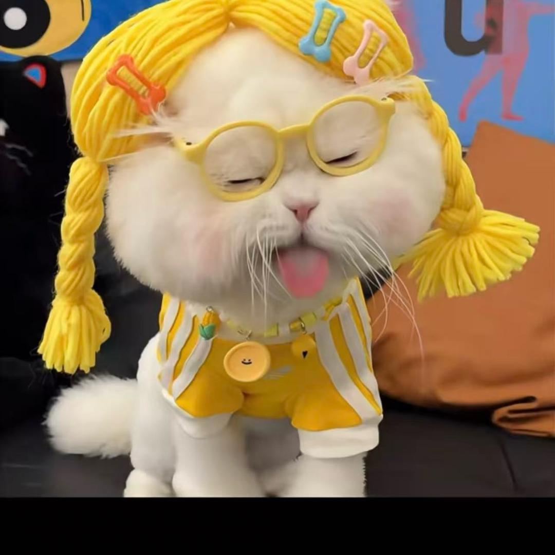 九八年