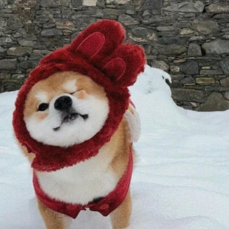Lllllllll
