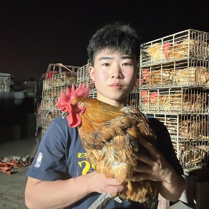 众鑫禽业