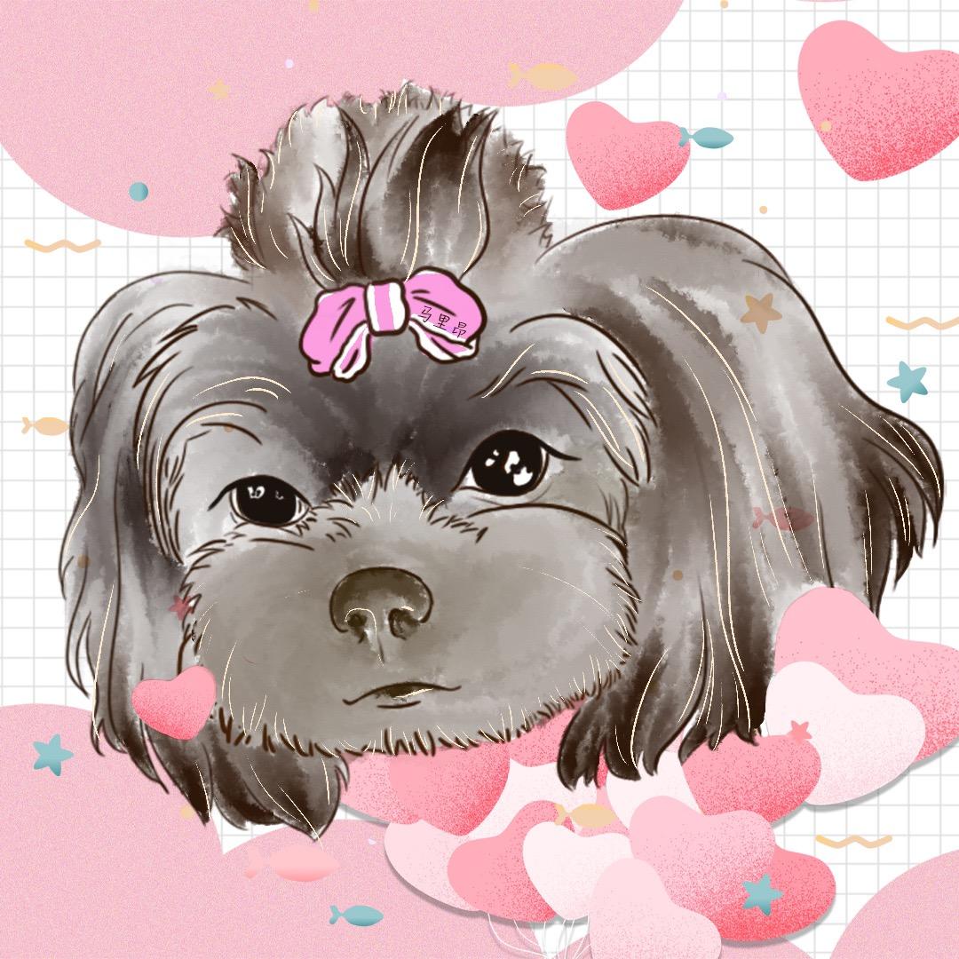 糖六六丶