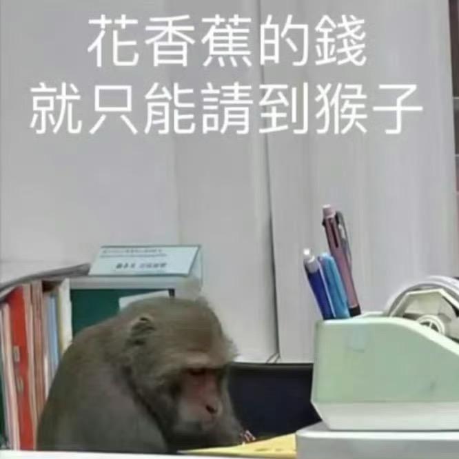 24k纯牛马