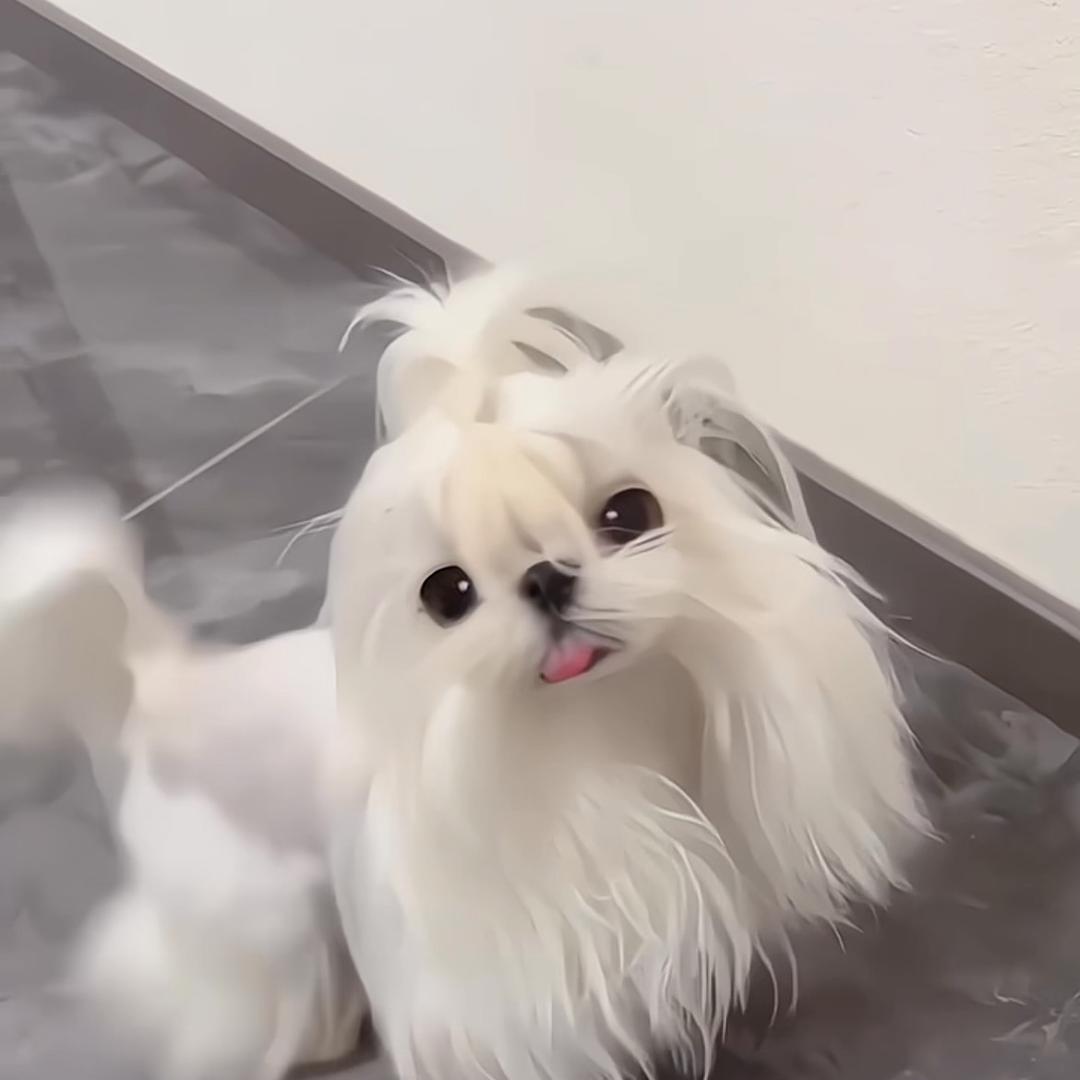 你的沫沫来啦
